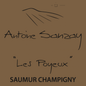 Antoine Sanzay 2021 Rouge Les Poyeux